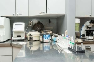 This image portrays 35M01582 by Central Veterinary Hospital.