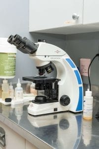 This image portrays 35M01583 by Central Veterinary Hospital.