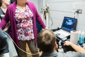 This image portrays 35M01600 by Central Veterinary Hospital.