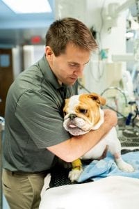 This image portrays 35M01738 by Central Veterinary Hospital.