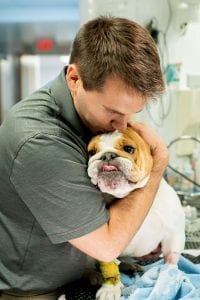 This image portrays 35M01744 by Central Veterinary Hospital.