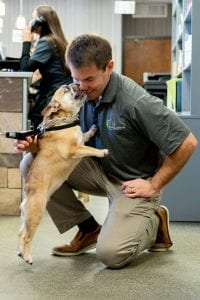 This image portrays 35M01760 by Central Veterinary Hospital.