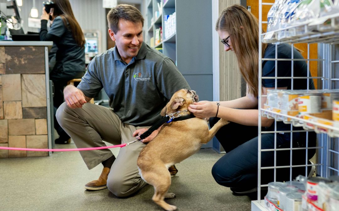 Central Veterinary Hospital