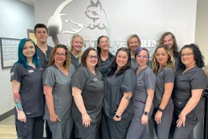 This image portrays Assistants new by Central Veterinary Hospital.