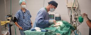 This image portrays CDAD506D-B98E-4AD2-B5B2-3B0ACD7F2D51 by Central Veterinary Hospital.