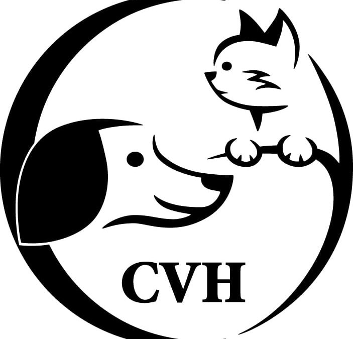 Central Veterinary Hospital