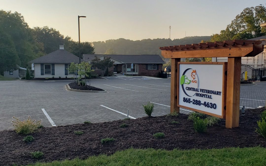 Central Veterinary Hospital