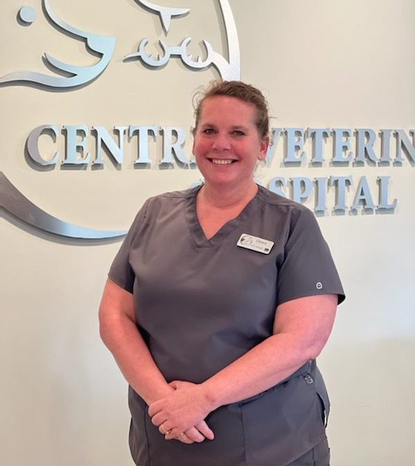 Central Veterinary Hospital
