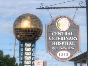 This image portrays Northeast Knoxville by Central Veterinary Hospital.