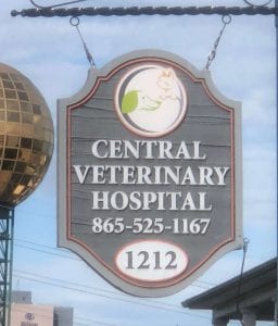This image portrays IMG_2664 edit by Central Veterinary Hospital.