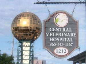 This image portrays IMG_2664 edit by Central Veterinary Hospital.