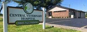 This image portrays IMG_4473 (6) (1) by Central Veterinary Hospital.