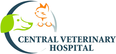 Central Veterinary Hospital