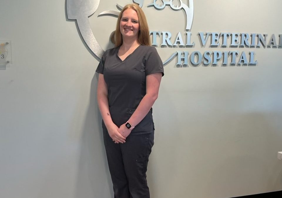 Central Veterinary Hospital
