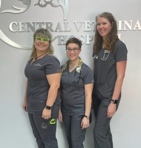 This image portrays RVT-New by Central Veterinary Hospital.