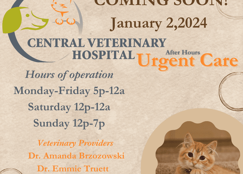 Central Veterinary Hospital