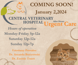 This image portrays Urgent-Care by Central Veterinary Hospital.