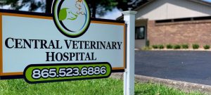 This image portrays sign by Central Veterinary Hospital.